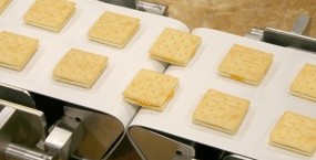 Conveyor belts for bread and confectionery industry